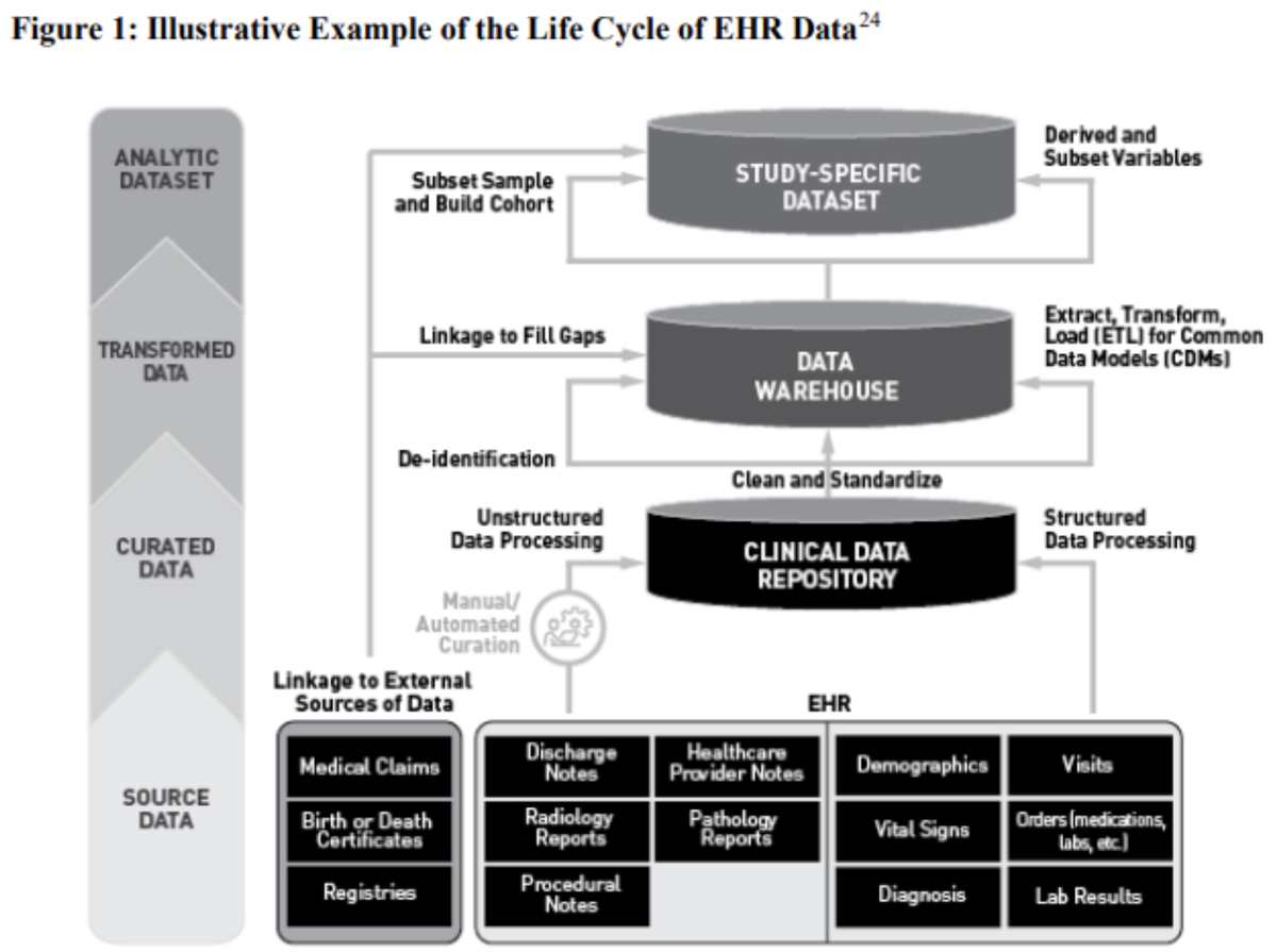 The Life Cycle of Real World Data