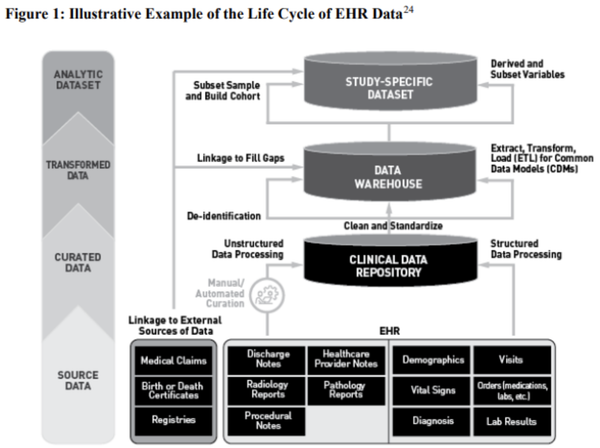 The Life Cycle of Real World Data